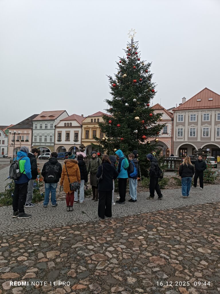 Obdivujeme stromeček