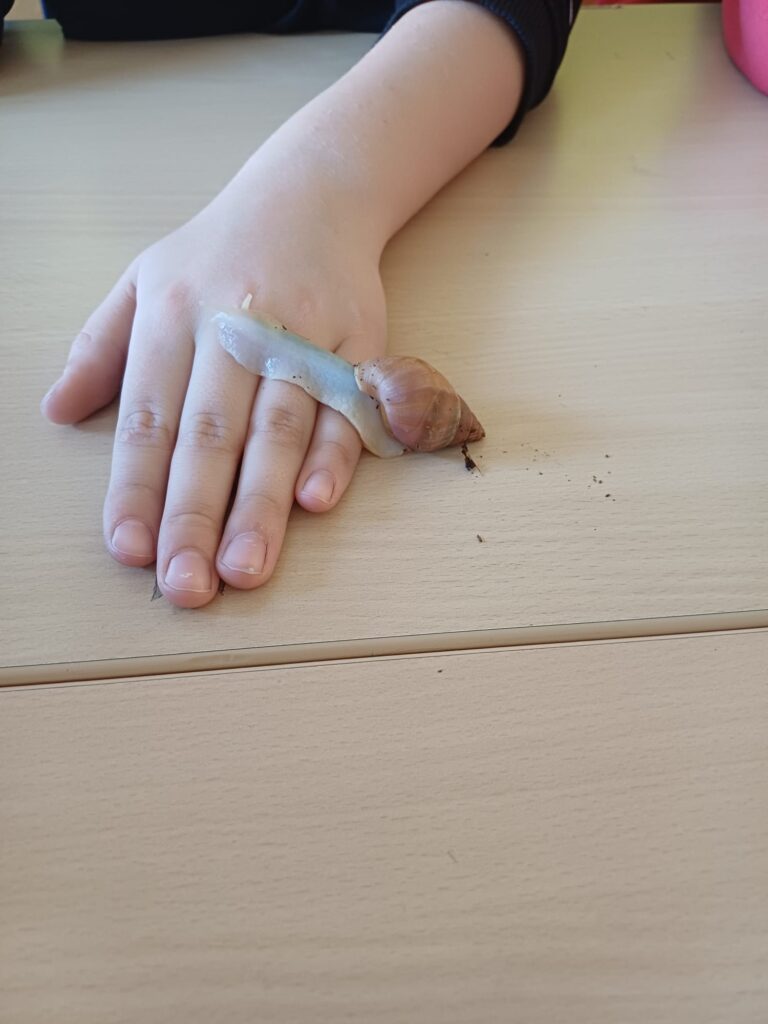 " Kámo, zapomněl sis ulitu....."