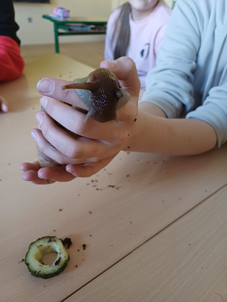 Tak kde mám zase tu okurku?!